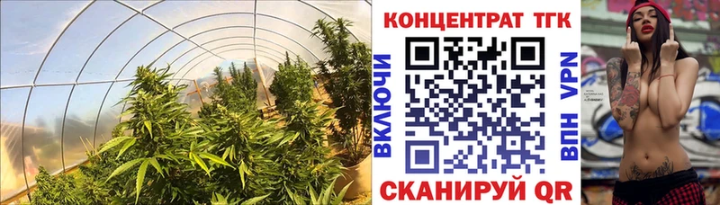 Дистиллят ТГК гашишное масло  Купить  Кирово-Чепецк 