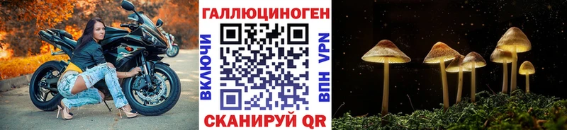 Купить закладки Кирово-Чепецк Галлюциногенные грибы мицелий