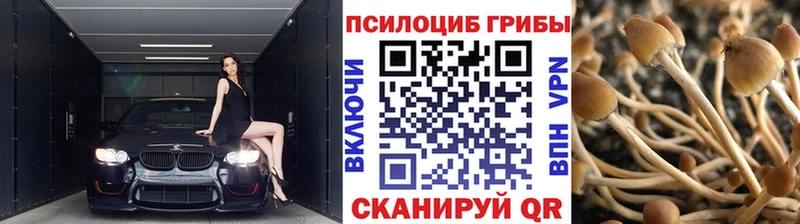 Псилоцибиновые грибы мухоморы Кирово-Чепецк