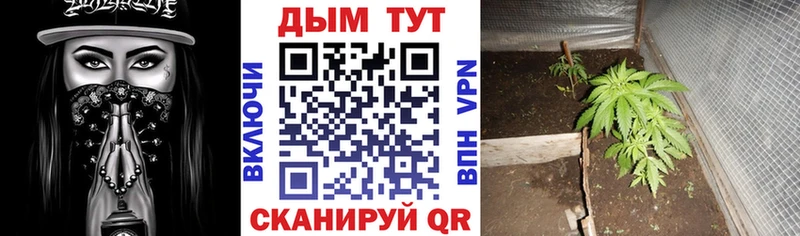 Марихуана Amnesia  Купить где  Кирово-Чепецк 